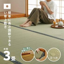 【ふるさと納税】長さ調節できる 国産 い草 上敷き 本間 (関西間) 3畳 191×286cm 抗カビ はっ水加工 消臭効果　【倉敷市】