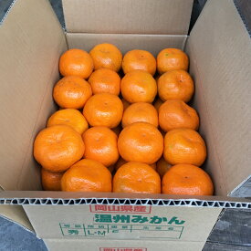 【ふるさと納税】早期受付 倉敷みかん 約5kg/約10kg 選べる内容量 倉敷ひらまつ農園 果物類 柑橘類 ミカン 蜜柑 フルーツ デザート 食後 おやつ 間食 冬 こたつ 岡山県産 【2025年11月上旬～2026年1月下旬 発送予定】