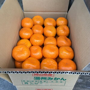 yӂ邳Ɣ[Łzt q~݂ 5kg/10kg Iׂe q~Ђ܂_ ʕ k ~J  t[c fU[g H  ԐH ~  RY y2025N11{`2026