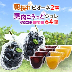 yӂ邳Ɣ[Łzy2026NxẑVNsI[l2[&sI[lƔʓƃWZbg_ sI[l W Zbg ӂ邳Ɣ[    Ԃǂ  uhE ʕ t[c