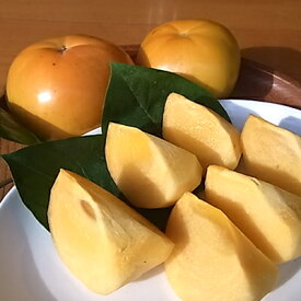 【ふるさと納税】【先行予約】津山産高級大甘柿　太秋大甘柿_ 柿 かき カキ 甘柿 果物 くだもの フルーツ 果実 甘い デザート 岡山県 津山市 産直 産地直送 贈答 ギフト プレゼント 送料無料 【配送不可地域：離島】【1035172】