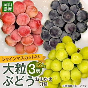 yӂ邳Ɣ[Łzy2025N10蔭z嗱Ԃǂ3Zbg2kg VC}XJbg sI[l NC[j[i_ VC}XJbg Ԃǂ  uhE }XJbg 햳 嗱 3 Zbg 