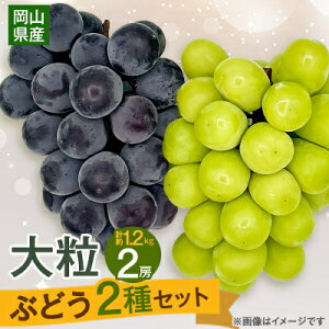 yӂ邳Ɣ[Łzy2025N10蔭z嗱Ԃǂ2Zbg@VC}XJbgق 2[ 1.2kg_ VC}XJbg ӂ邳Ɣ[ Ԃǂ  uhE }XJbg 2 Zbg Hה 