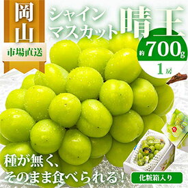 【ふるさと納税】【先行予約】岡山県産　シャインマスカット『晴王』1房　700g以上　化粧箱入り_ シャインマスカット ぶどう 葡萄 ブドウ 果物 くだもの フルーツ 岡山県 津山市 産直 産地直送 化粧箱 ギフト 送料無料 【配送不可地域：離島・北海道・沖縄県】【1281355】