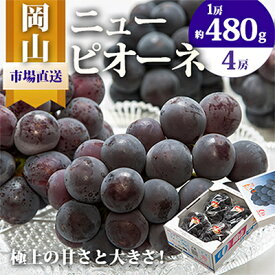 【ふるさと納税】【先行予約】岡山県産　ニューピオーネ4房(1房480g以上・合計約2kg)_ ぶどう 葡萄 ブドウ ニューピオーネ 甘い 果物 くだもの フルーツ デザート 岡山県 津山市 ギフト プレゼント 送料無料 【配送不可地域：離島・北海道・沖縄県】【1281357】