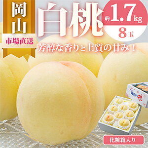 yӂ邳Ɣ[Łzy2026NzRY@8(1.7kgȏ)@ϔ_    Â ʕ  t[c R ÎRs lC    Mtg ϔ ① yz