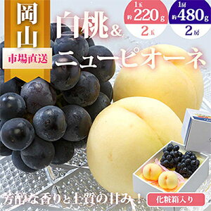yӂ邳Ɣ[Łzy2026NzRY@l/ƃj[sI[l@ϔ_  Ԃǂ  uhE   j[sI[l lߍ킹 Zbg ʕ t[c  Mtg lC 