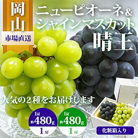 【ふるさと納税】【先行予約】岡山県産　詰合せ/シャインマスカット『晴王』とニューピオーネ　化粧箱入り_ シャインマスカット ぶどう 葡萄 ブドウ 果物 くだもの 岡山県 津山市 マスカット ピオーネ フルーツ 人気 【配送不可地域：離島・北海道・沖縄県】【1281367】