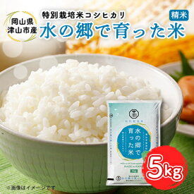 【ふるさと納税】【岡山県津山市加茂町産】水の郷で育った米5kg(特別栽培米コシヒカリ)_ 米 お米 白米 精米 5kg 特別栽培米 コシヒカリ 岡山産 農家直送 送料無料 岡山県 津山市 【1297142】