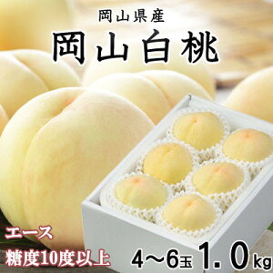 yӂ邳Ɣ[Łzys\zR G[X 4`6 1kg RY_  ӂ邳Ɣ[    Â ʕ  t[c Yn Y R ÎRs  Mtg v[g Z