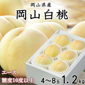 【ふるさと納税】【先行予約】岡山白桃 エース4～8玉 1.2kg 岡山県産_ 桃 白桃 もも モモ 岡山白桃 甘い 果物 くだもの フルーツ デザート 岡山県 津山市 国産 産直 産地直送 贈答 ギフト プレゼント 送料無料 【配送不可地域：離島・北海道・沖縄県】【1305697】
