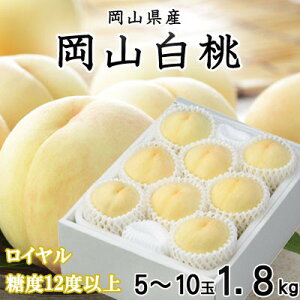 yӂ邳Ɣ[Łzys\zR C 5`10 1.8kg RY_  ӂ邳Ɣ[    Â ʕ  t[c Yn Y R ÎRs  Mtg v[g 