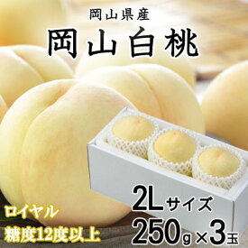 【ふるさと納税】【先行予約】岡山白桃 ロイヤル 3玉×250g(2Lサイズ) 岡山県産_ 桃 白桃 もも モモ 岡山白桃 甘い 果物 くだもの フルーツ デザート 岡山県 津山市 光センサー 産直 産地直送 ギフト プレゼント 送料無料 【配送不可地域：離島・北海道・沖縄県】【1305721】