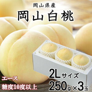 yӂ邳Ɣ[Łzys\zR G[X 3×250g(2LTCY) RYyzsnFEkCEꌧzy1305725z