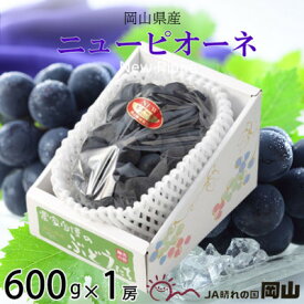【ふるさと納税】【2026年6月下旬より順次発送】岡山県産 ニューピオーネ 600g×1房_ ぶどう 葡萄 ブドウ 果物 フルーツ 岡山県 津山市 【配送不可地域：離島・北海道・沖縄県】【1308138】