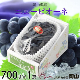 【ふるさと納税】【2026年6月下旬より順次発送】岡山県産 ニューピオーネ 700g×1房_ ぶどう 葡萄 ブドウ 果物 フルーツ 岡山県 津山市 【配送不可地域：離島・北海道・沖縄県】【1308139】