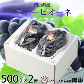 【ふるさと納税】【2026年6月下旬より順次発送】岡山県産 ニューピオーネ 500g×2房_ ぶどう 葡萄 ブドウ 果物 フルーツ 岡山県 津山市 【配送不可地域：離島・北海道・沖縄県】【1308144】