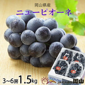 yӂ邳Ɣ[Łzy2026N6{菇zRY j[sI[l 1.5kg(3[`6[)_ Ԃǂ j[sI[l  uhE RY ʕ  t[c 햳 yzsnF