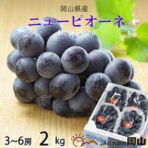 yӂ邳Ɣ[Łzy2026N6{菇zRY j[sI[l 2kg(3[`6[)yzsnFEkCEꌧzy1308149z