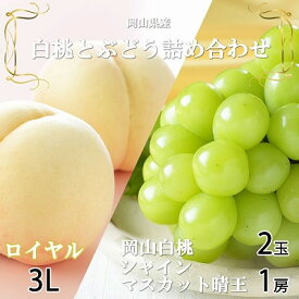 【ふるさと納税】【先行予約】岡山県産　岡山白桃ロイヤル3L300g×2玉・シャインマスカット晴王600g×1房　詰合_ 桃 シャインマスカット 白桃 もも モモ 詰合せ 甘い 果物 くだもの フルーツ 岡山県 津山市 産直 送料無料 【配送不可地域：離島・北海道・沖縄県】【1308767】