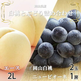 【ふるさと納税】【先行予約】岡山県産　岡山白桃エース2Lサイズ250g×2玉・ニューピオーネ500g×1房　詰合せ_ 桃 白桃 もも 甘い 果物 フルーツ 岡山県 津山市 【配送不可地域：離島・北海道・沖縄県】【1309120】
