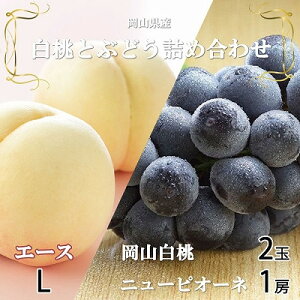 yӂ邳Ɣ[Łzys\zRY@RG[XLTCY200g×2ʁEj[sI[l400g×1[@l_  j[sI[l    Ԃǂ l Â ʕ  t[c 