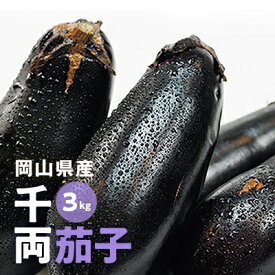 【ふるさと納税】【2026年7月以降発送】なす栽培歴50年の大ベテランが育てた『朝採れ茄子』　3kg_ 千両なす ナス なす 茄子 千両茄子 野菜 やさい 獲れたて 朝採れ 3kg 漬物 浅漬け 煮びたし 焼きなす 炒め物 岡山県 津山市 国産 産直 産地直送 送料無料 【1323067】