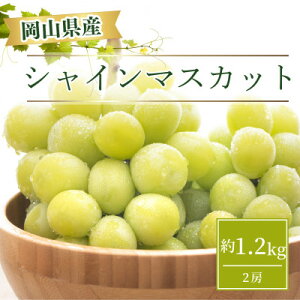 yӂ邳Ɣ[Łzy2025N͂zRY VC}XJbg 1.2kg(2[)_ Ԃǂ  uhE VC}XJbg ΂Ԃǂ 1.2kg 嗱 Ȃ ʕ t[c  Mtg lC R ÎR