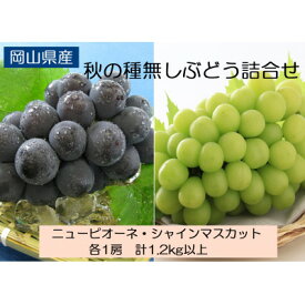 【ふるさと納税】◆先行予約◆　岡山県産　秋の種無しぶどう詰合せ　2026年発送_ 種なし ぶどう 葡萄 ブドウ たねなし 詰め合わせ ニューピオーネ シャインマスカット 大粒 果物 フルーツ 贈答 ギフト 岡山県 津山市 【配送不可地域：離島・北海道・沖縄県】【1349783】