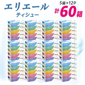 【ふるさと納税】エリエール ティシュー 180組5箱×12パック(60箱)_ ティッシュ エリエール 日用品 消耗品 必需品 備蓄 防災 ストック 生活用品 衛生用品 ティッシュペーパー ボックス まとめ買い 180組 5箱×12パック 【配送不可地域：離島・北海道・沖縄県】【1352850】