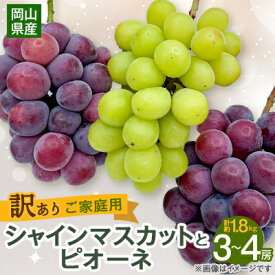 【ふるさと納税】【2026年9月下旬発送】訳ありシャインマスカットとピオーネ詰合せ 3～4房 1.8kg ご家庭用_ シャインマスカット ふるさと納税 ぶどう 葡萄 ブドウ 果物 くだもの 訳あり マスカット ピオーネ フルーツ 岡山県 津山市 産地直送 家庭用 送料無料 【1355668】