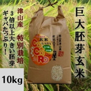 yӂ邳Ɣ[Łzyˍzy炿zCoCoRo 10kg_  10kg  R     ܂ N H@ r^~  ͂ ٓ ɂ Y Yn Y 