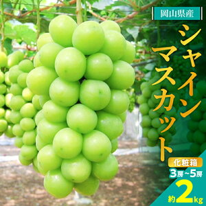 yӂ邳Ɣ[Łzx!VC}XJbg!2kgy2025N9{菇zMtgɂRYԂǂ!yzsnFzy1365259z