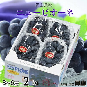 yӂ邳Ɣ[Łzy2025N8蔭zRY@j[sI[l@2kg(3[`6[)_ j[sI[l Ԃǂ  uhE 햳 ʕ  t[c Â R ÎRs Y Yn Mt