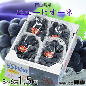 yӂ邳Ɣ[Łzy2025N8zRY@j[sI[l@1.5kg(3[`6[)_ j[sI[l Ԃǂ  uhE 햳 ʕ  t[c Â R ÎRs Y Yn Mtg 