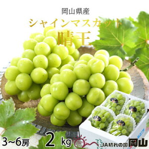 yӂ邳Ɣ[Łzy2026N7{菇zRY VC}XJbg  2kg(3[`6[)_ VC}XJbg ӂ邳Ɣ[ Ԃǂ  uhE }XJbg yzsnFE