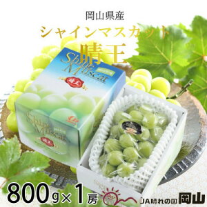 yӂ邳Ɣ[Łzy2025N8zRY@VC}XJbg@@600g×1[yzsnFEkCEꌧzy1366017z