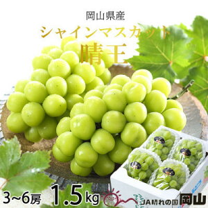 yӂ邳Ɣ[Łzy2025N8蔭zRY@VC}XJbg@@1.5kg(3[`6[)_ VC}XJbg Ԃǂ  uhE 햳 ʕ  t[c R ÎRs Y M