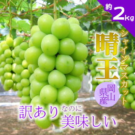 【ふるさと納税】【2026年発送】訳あり!シャインマスカット約2kg!8月中旬～順次発送【人気の岡山産ぶどう】_ 訳あり シャインマスカット ぶどう 2kg 葡萄 ブドウ マスカット 果物 くだもの フルーツ 人気 美味しい 岡山 家庭用 送料無料 【配送不可地域：離島】【1378275】