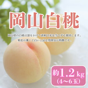 yӂ邳Ɣ[Łzy2026Nzy8zR@1.2kg(4`6)yzsnFEkCEꌧzy1407727z