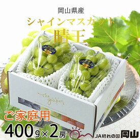 【ふるさと納税】【2026年8月より発送予定】ご家庭用　岡山県産　シャインマスカット　晴王　400g×2房_ シャインマスカット ふるさと納税 ぶどう 葡萄 ブドウ マスカット 果物 くだもの フルーツ 産地直送 岡山県 津山市 家庭用 送料無料 【配送不可地域：離島】【1409723】