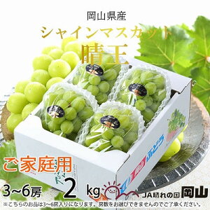 yӂ邳Ɣ[Łzy2025N8蔭zƒp@RY@VC}XJbg@@2kg(3`6[)_ VC}XJbg Ԃǂ  uhE }XJbg ʕ  t[c yzs