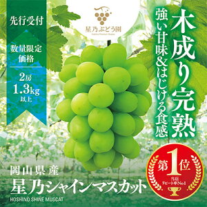 【ふるさと納税】星乃シャインマスカット 数量限定 (岡山県産) 2房(1.3kg以上)【配送不可地域:離島・北海道・沖縄県】【1418970】