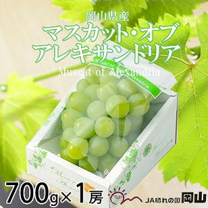 yӂ邳Ɣ[Łzy2025N9蔭zRY@}XJbgEIuEALThA@700g×1[_ }XJbg Ԃǂ  uhE ʕ  t[c R ÎRs Mtg v[g 