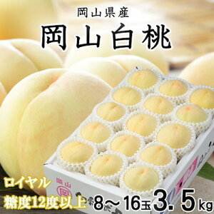 yӂ邳Ɣ[Łzys\zR C 8`16 3.5kg RY_     R Â ʕ  t[c fU[g  R ÎRs Y Yn Mtg v