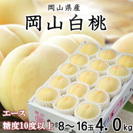 【ふるさと納税】【先行予約】岡山白桃 エース 8～16玉 4.0kg 岡山県産_ 桃 白桃 もも モモ 岡山白桃 甘い 果物 くだもの フルーツ デザート 岡山県 津山市 国産 産直 産地直送 贈答 ギフト プレゼント 送料無料 【配送不可地域：離島・北海道・沖縄県】【1424434】