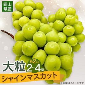 【ふるさと納税】【2026年9月下旬発送】大粒シャインマスカット 約2kg(2～4房)_ ぶどう シャインマスカット 葡萄 果物 くだもの フルーツ 人気 おすすめ 送料無料 岡山県 大粒 ジューシー 津山市 【1425198】