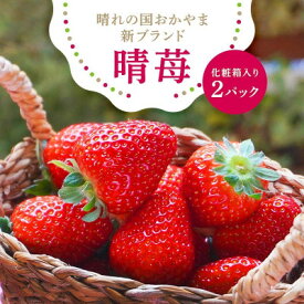 【ふるさと納税】先行予約2026年1月以降発送　晴れの国おかやま新ブランド「晴苺」化粧箱入り2パック_ いちご 苺 イチゴ 晴苺 はれいちご ブランドいちご 完熟フルーツ 贈答用 高糖度 岡山特産 送料無料 岡山県 津山市 【配送不可地域：離島・北海道・沖縄県】【1444423】