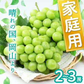 【ふるさと納税】岡山県産シャインマスカット(ご家庭用)【2026年9月中旬以降発送予定】_ シャインマスカット ぶどう 葡萄 ブドウ マスカット 種なし 果物 くだもの フルーツ 岡山県 津山市 産直 産地直送 家庭用 自宅用 送料無料 【配送不可地域：離島】【1461027】