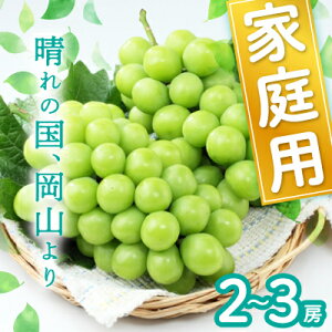 yӂ邳Ɣ[ŁzRYVC}XJbg(ƒp)y2025N9{ȍ~\z_ VC}XJbg Ԃǂ  uhE }XJbg Ȃ ʕ  t[c R ÎRs 